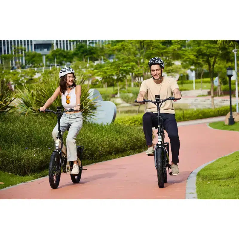 Vélo électrique pliant GoPowerBike GoVolt | Boîte ouverte