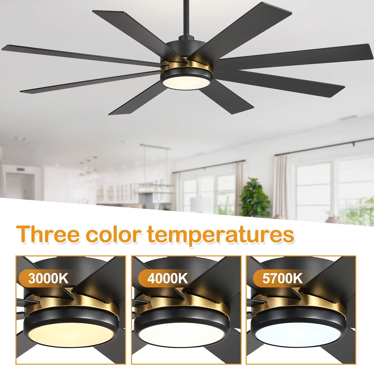 Ventilateur de plafond de 65 pouces à 8 pales noires avec lumière LED et télécommande