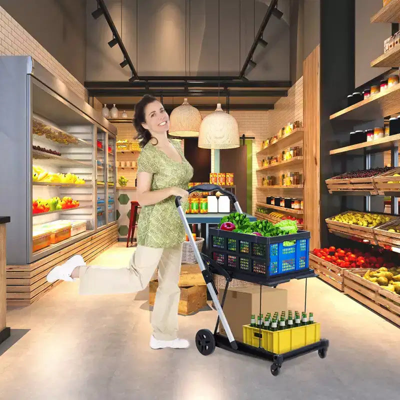 Chariots de courses pliants à 2 niveaux pour l'épicerie, capacité de 90 kg, chariot d'épicerie pliable portable avec roues et caisse amovible pour centre commercial, bleu