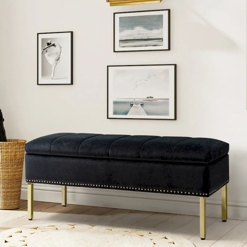 Banc de rangement contemporain Egmont en velours avec couvercle à charnière par HULALA HOME