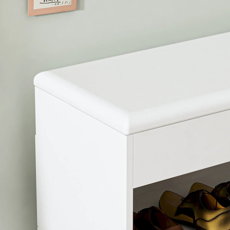 Banc de rangement pour chaussures 24W avec coussin éponge, siège de salon, meuble à chaussures