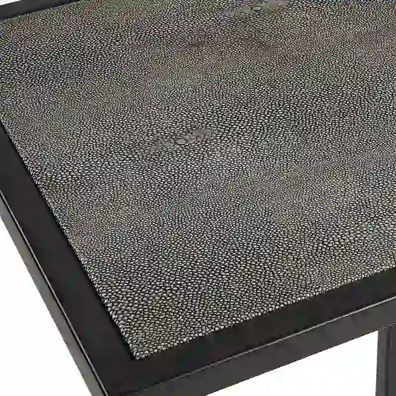 Table d'appoint antique en fer noir et galuchat par Matthew Williams