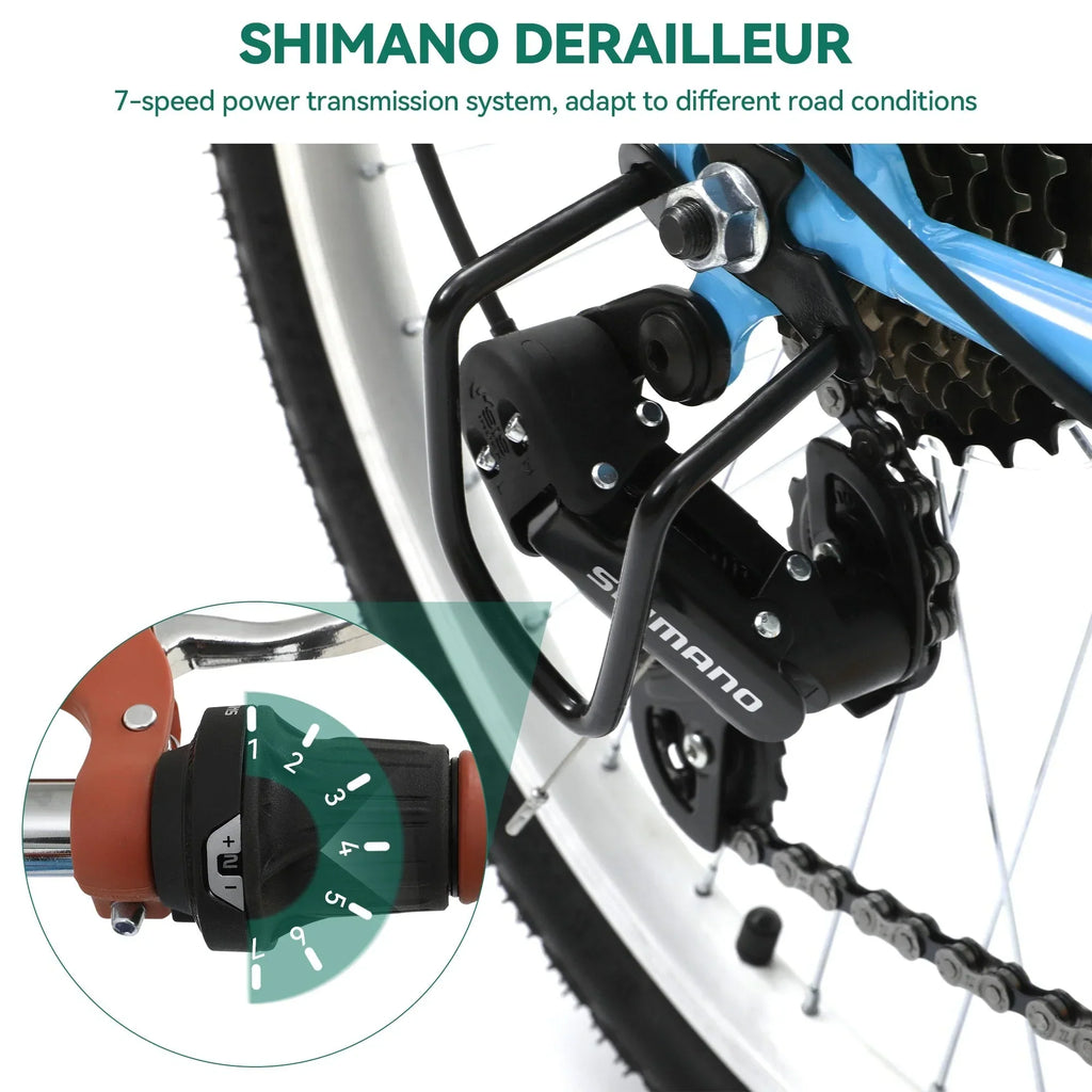 Moasis24/26 Vélo Cruiser 7 Vitesses, Vélo à Cadre Bas Ajustable, Vélo de Ville, Bicyclette
