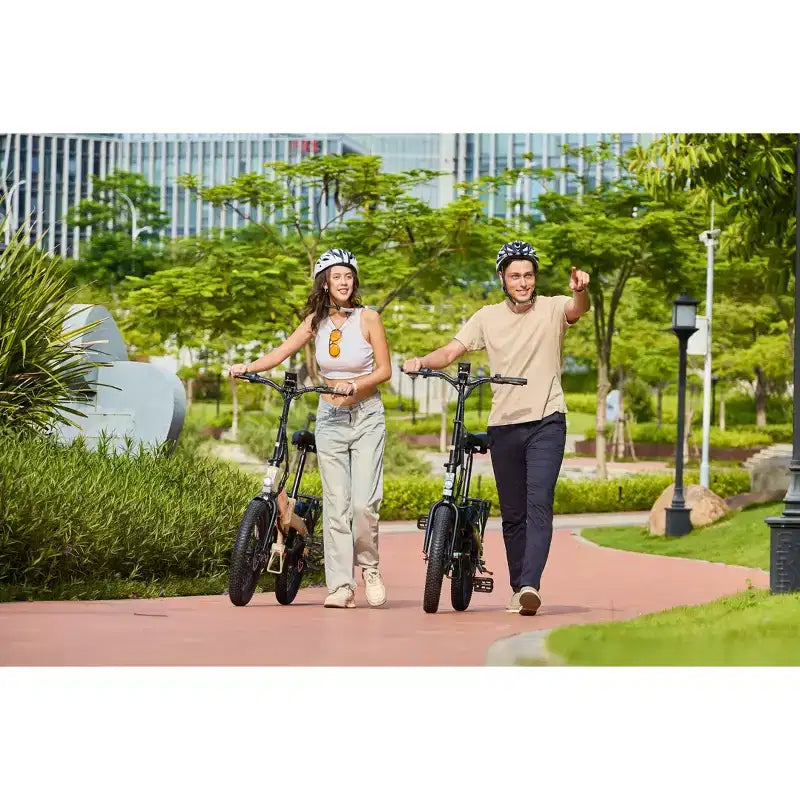 Vélo électrique pliant GoPowerBike GoVolt | Boîte ouverte