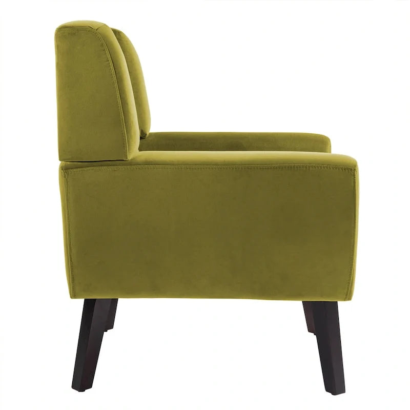 Lot de 2 fauteuils de salon en velours avec accoudoirs