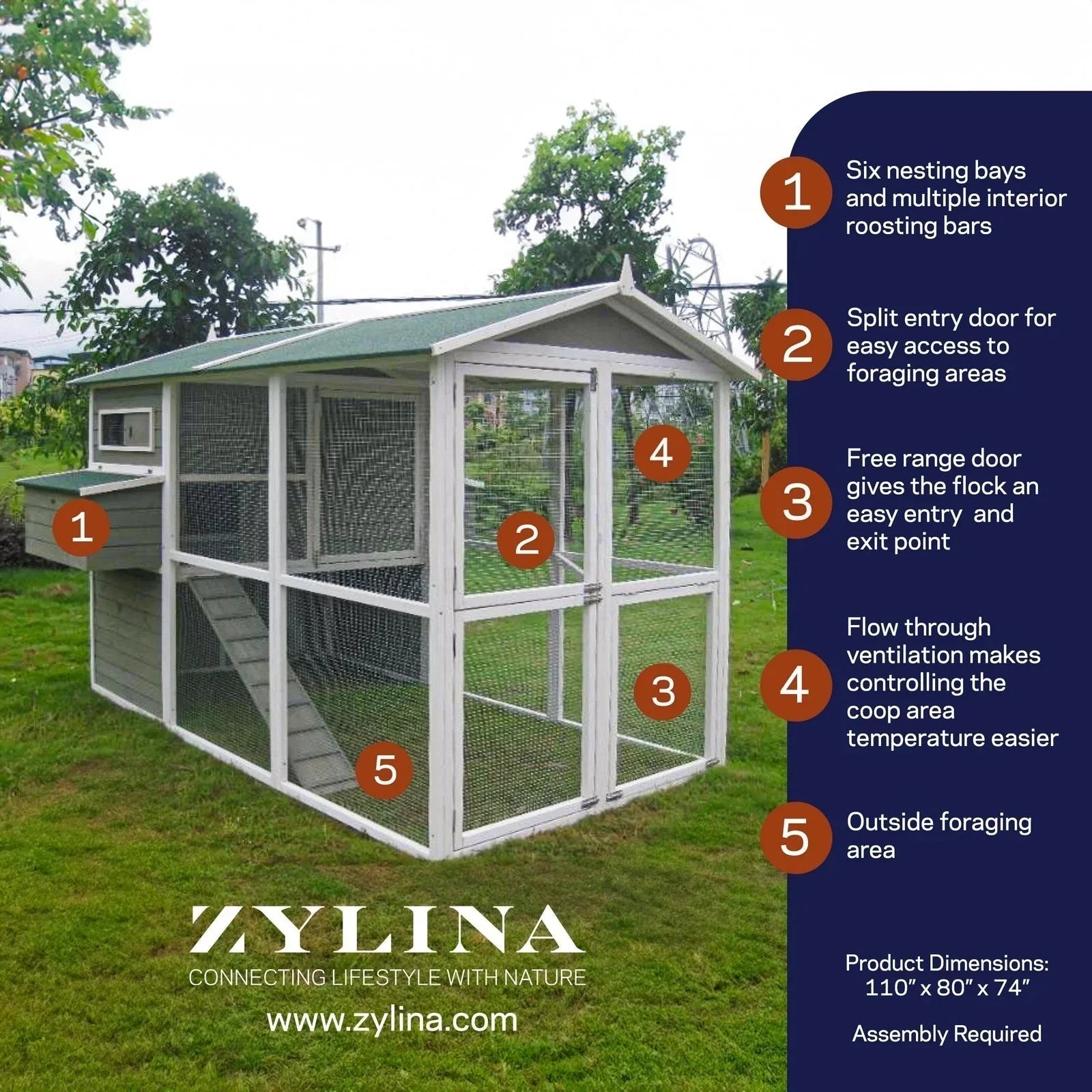 Grand poulailler vert Zylina